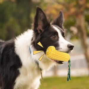 Indestructible Dog Chew Toy Set  TPR & Rope Combo with Squeaker, Dental Cleaning & Teething Relief for Medium to Large Breeds